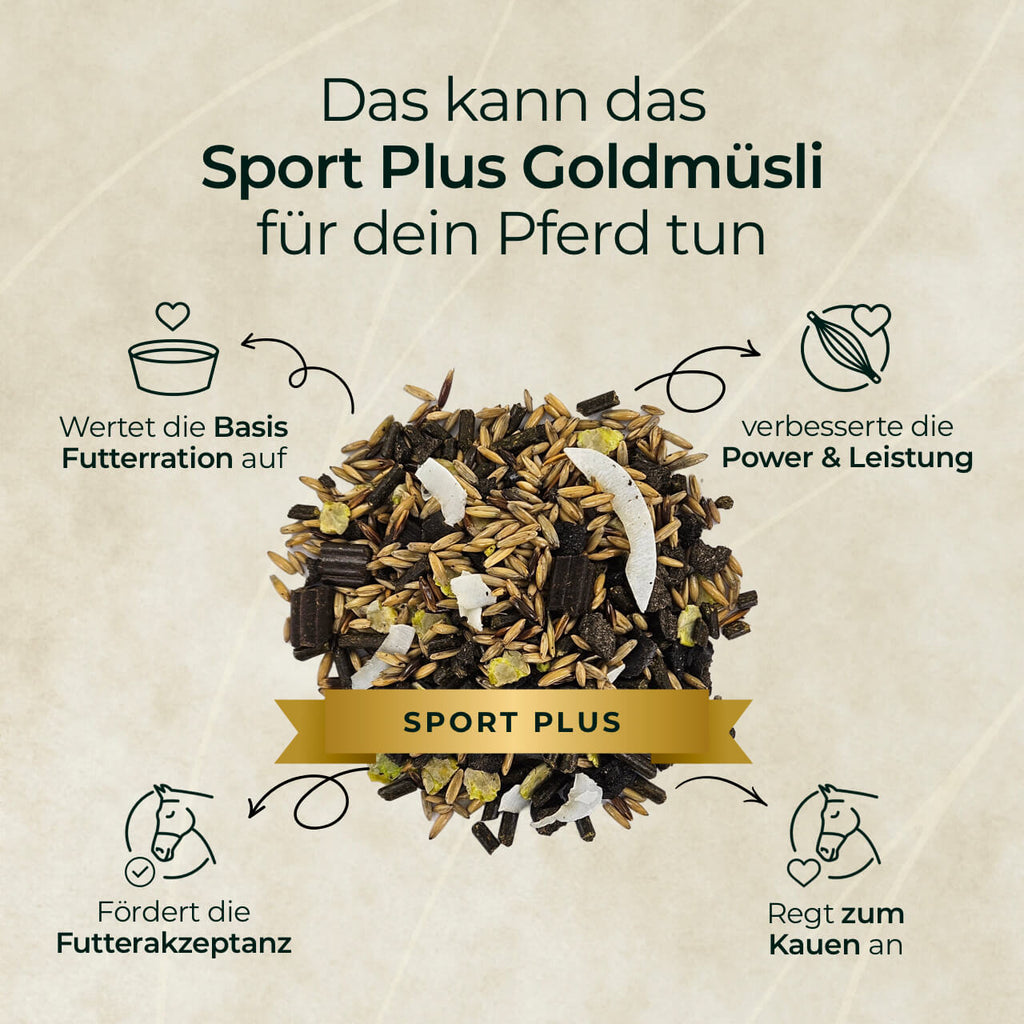 Pferdegold® Goldmüsli® Sport Plus – Pferdemüsli für sportlich aktive Pferde