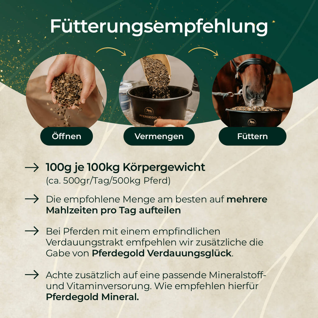 Pferdegold® Goldmüsli® Sport Plus – Pferdemüsli für sportlich aktive Pferde