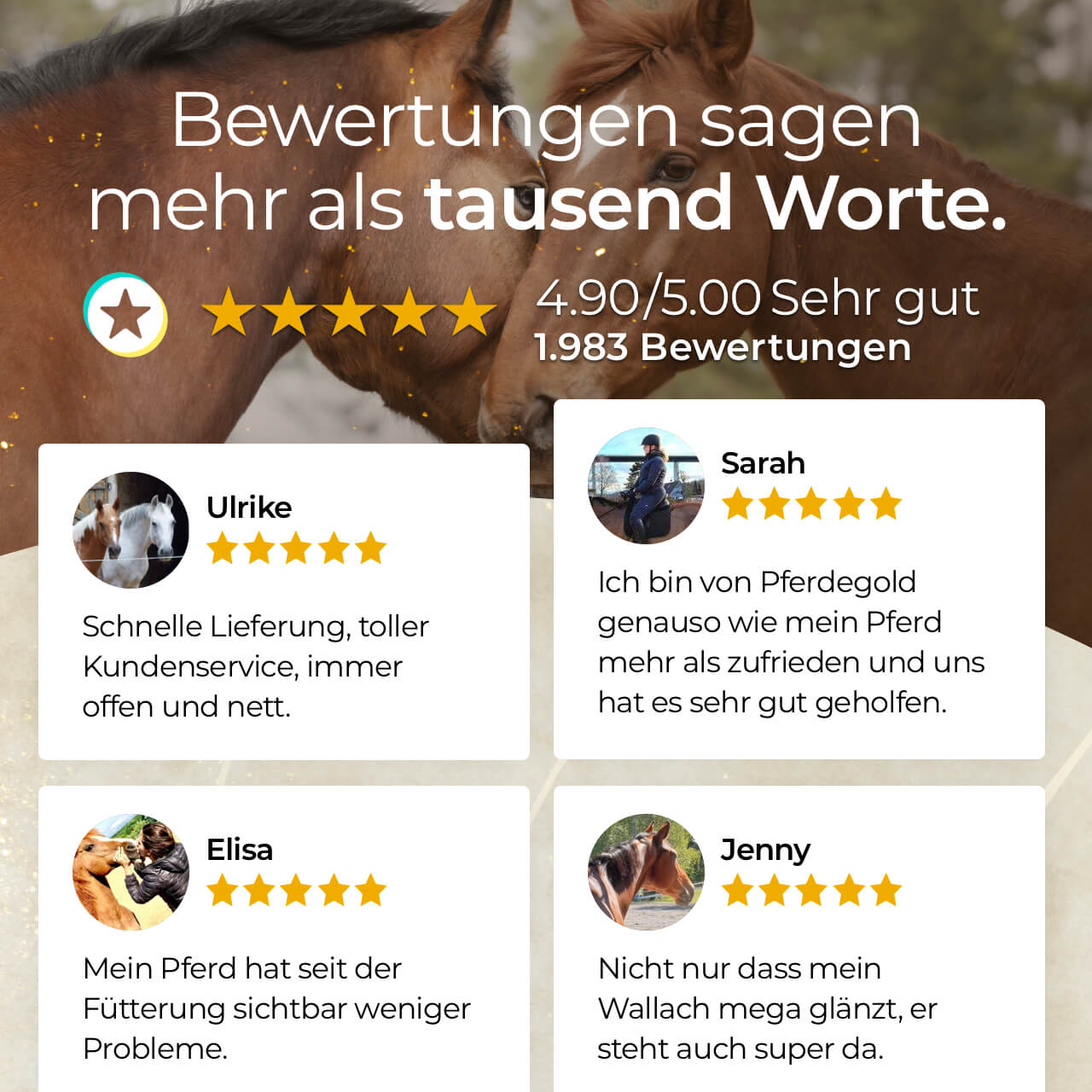 Pferdegold® Goldmüsli® Sport Plus – Pferdemüsli für sportlich aktive Pferde
