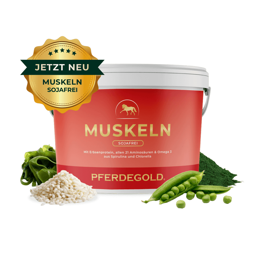 Pferdegold® Muskeln 2.0 Sojafrei – Muskelaufbau-Ergänzung für Pferde 1,5 kg