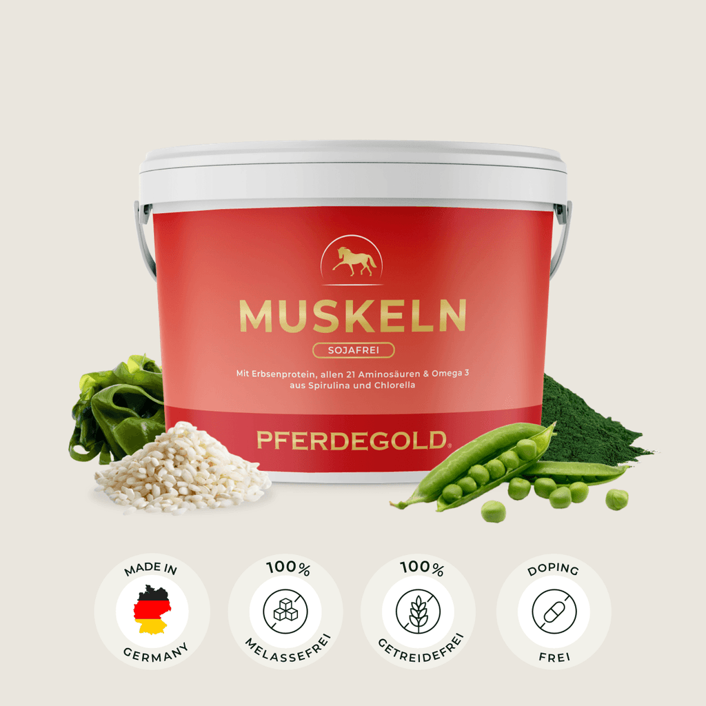 Pferdegold® Muskeln 2.0 Sojafrei – Muskelaufbau-Ergänzung für Pferde 1,5 kg