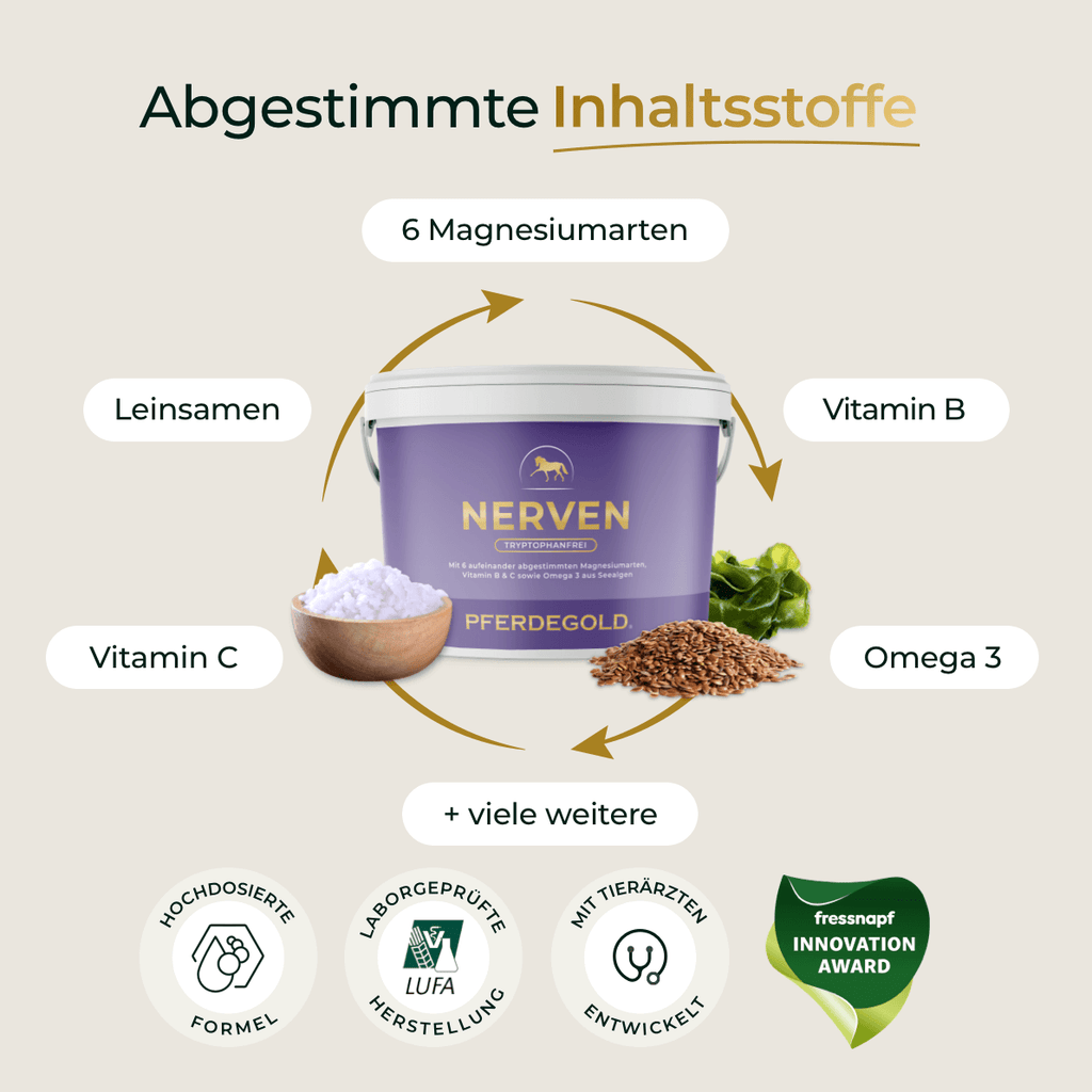 Pferdegold® Nerven 2.0 – Magnesium-Ergänzungsfutter für Pferde