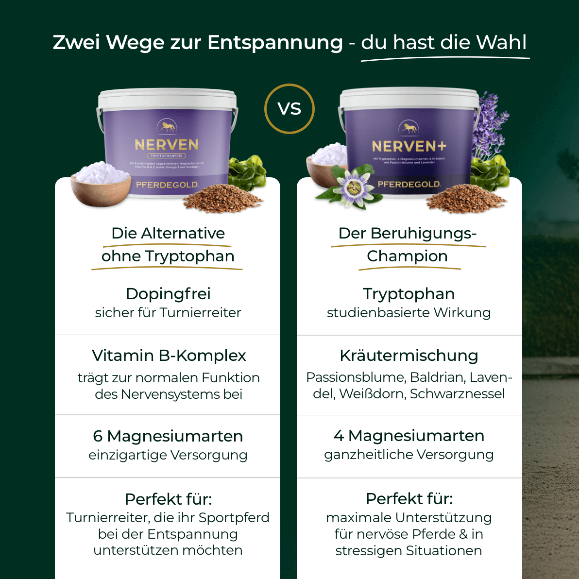 Pferdegold® Nerven 2.0 – Magnesium-Ergänzungsfutter für Pferde