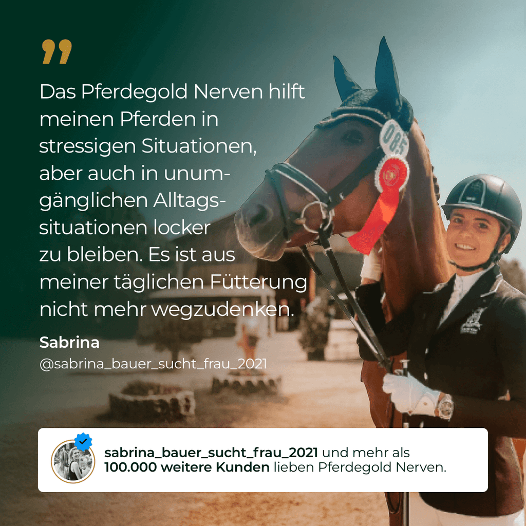 Pferdegold® Nerven 2.0 – Magnesium-Ergänzungsfutter für Pferde