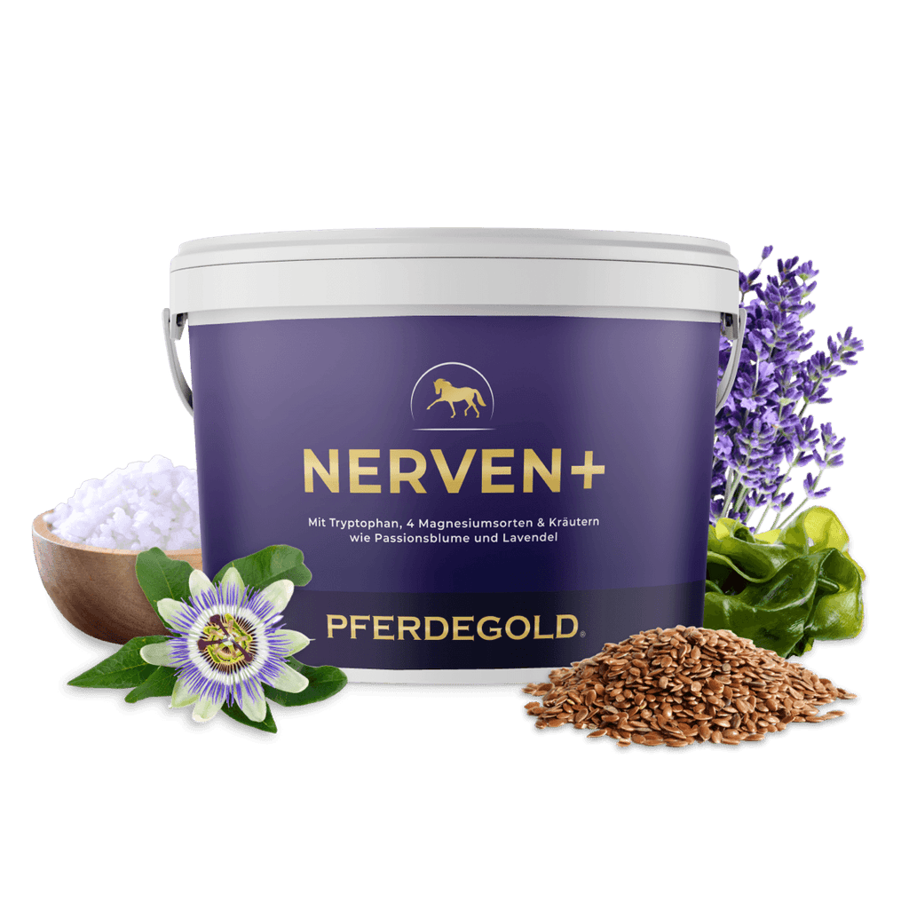 Pferdegold® Nerven+ mit Tryptophan – Ergänzung für nervöse Pferde