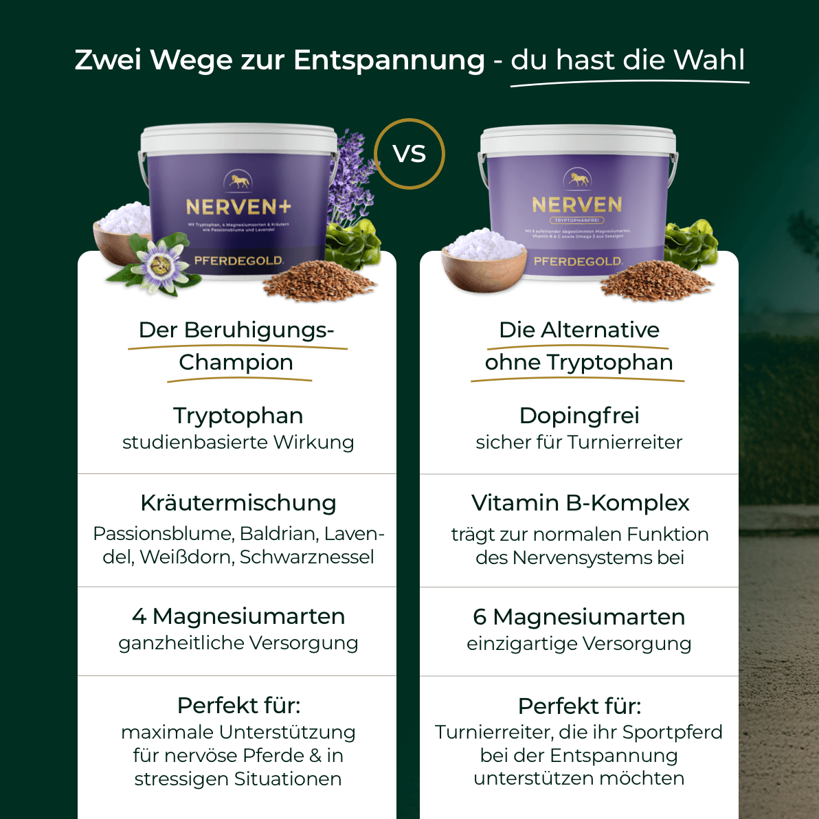 Pferdegold® Nerven+ mit Tryptophan – Ergänzung für nervöse Pferde