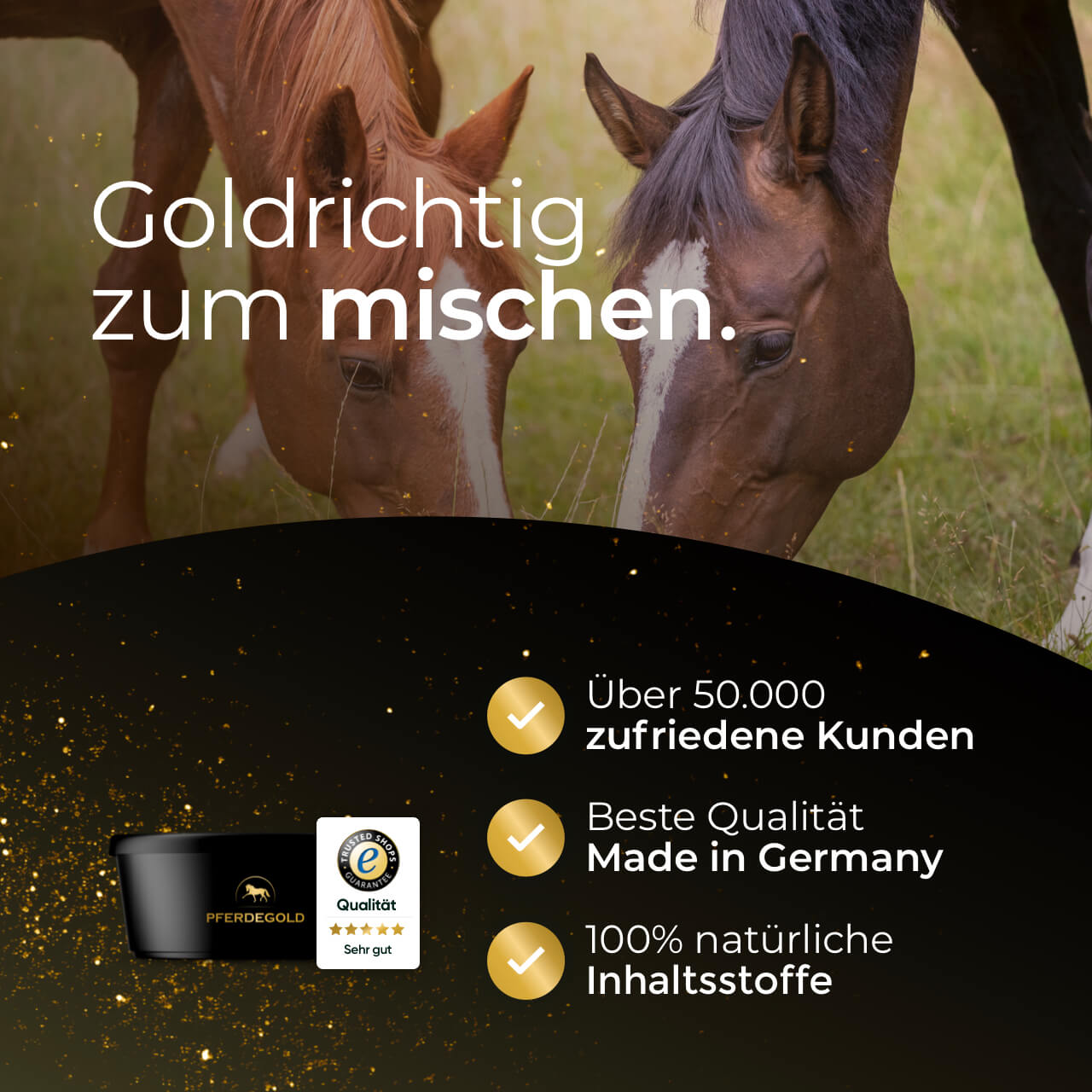 Pferdegold® Futterschüssel mit Deckel – Müslischale für Pferde 5 l