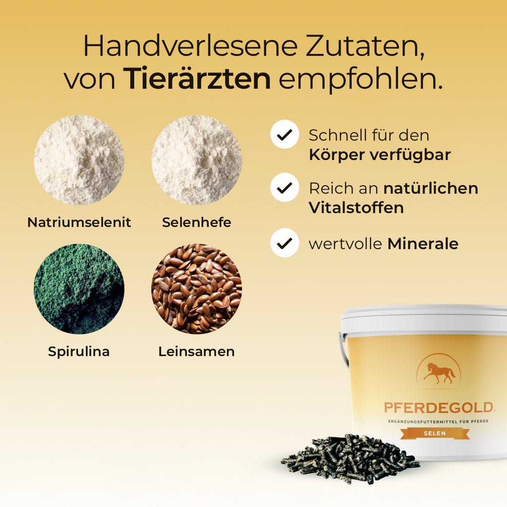 Pferdegold® Selen – Dual-Selen-Formel Ergänzungsfutter für Pferde 1,5 kg