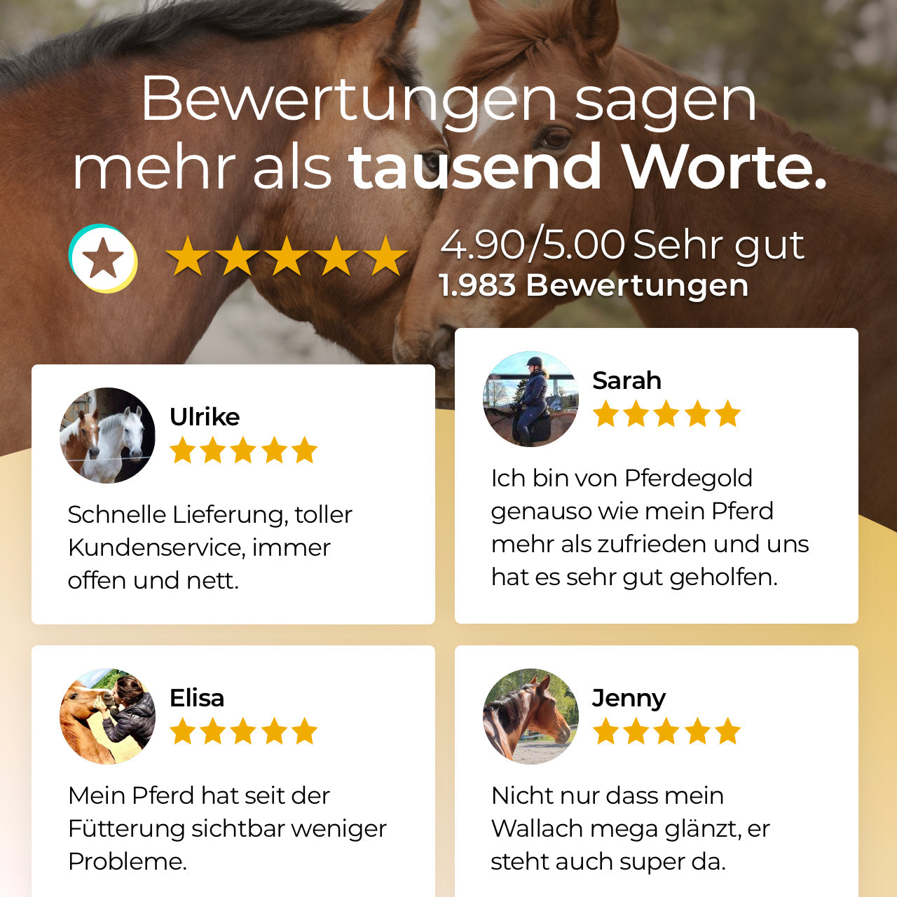 Pferdegold® Selen – Dual-Selen-Formel Ergänzungsfutter für Pferde 1,5 kg