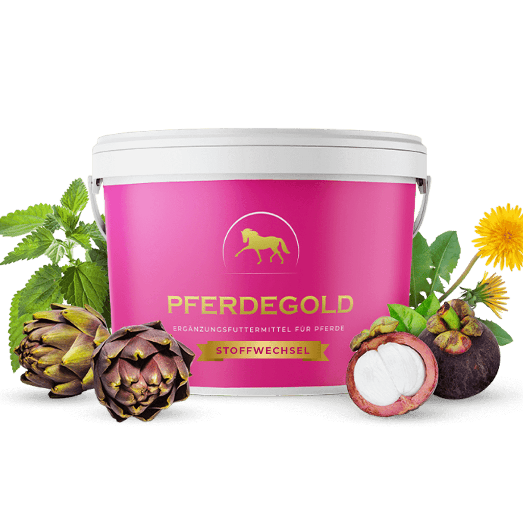 Pferdegold® Stoffwechsel – Ergänzungsfutter für Pferde mit Magnesium & Kräutern