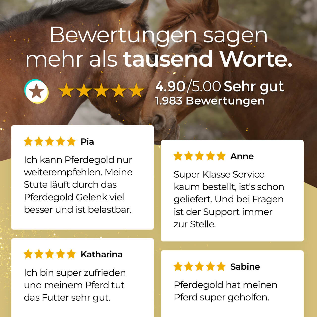 Pferdegold® Stoffwechsel – Ergänzungsfutter für Pferde mit Magnesium & Kräutern