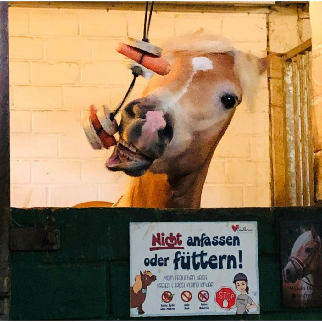 Pferdespielzeug Möhren-Tarzan – Spielzeug für Pferde gegen Langeweile – Pferdebeschäftigung - TierVita