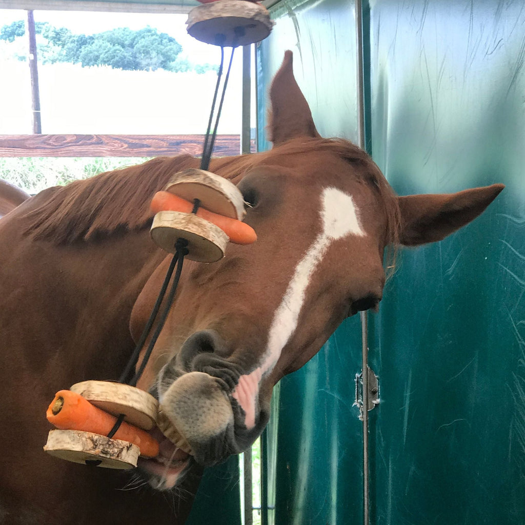 Pferdespielzeug Möhren-Tarzan – Spielzeug für Pferde gegen Langeweile – Pferdebeschäftigung - TierVita
