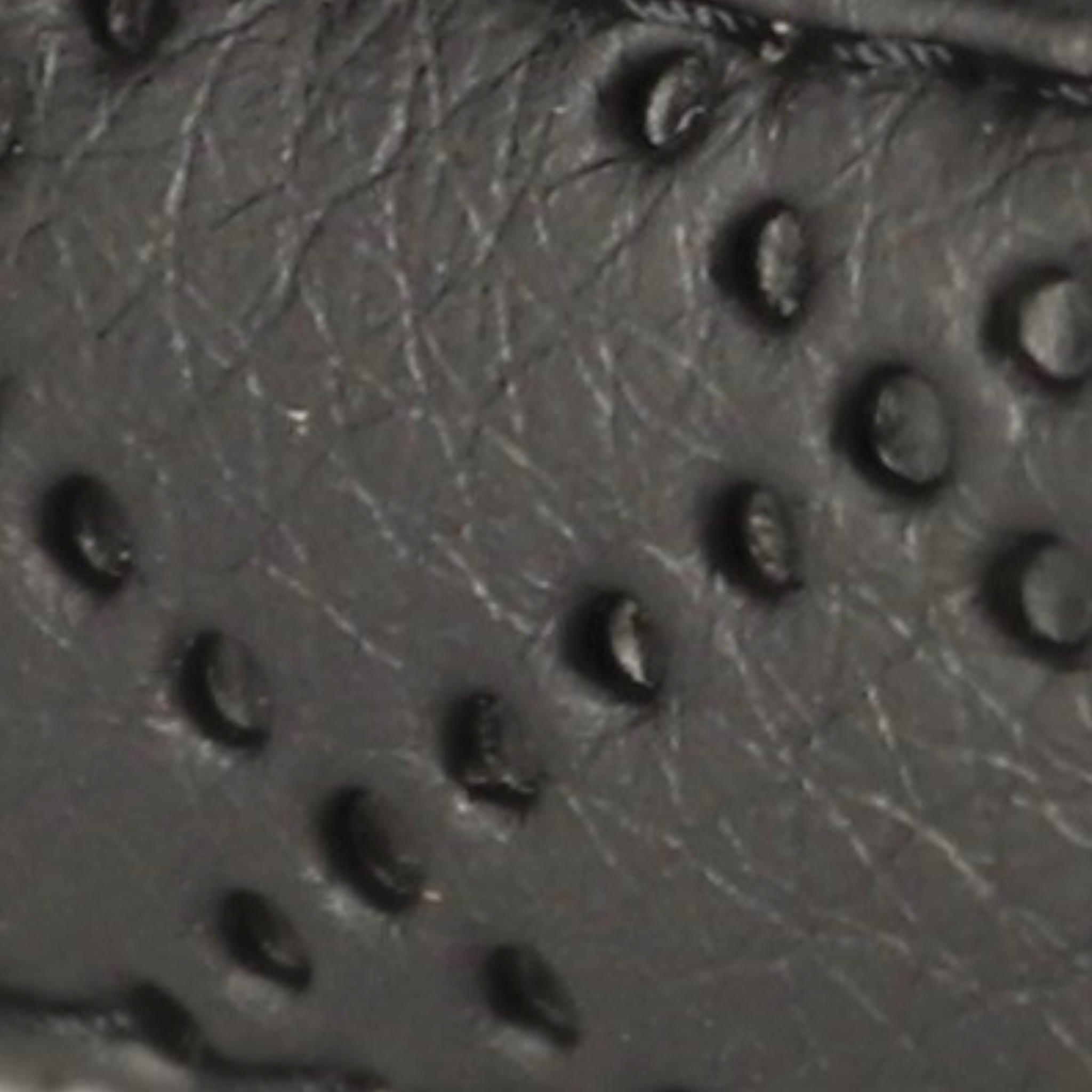 Leine Schwarz Aus Nylon Längenverstellbar Im Rautendesign - TierVita