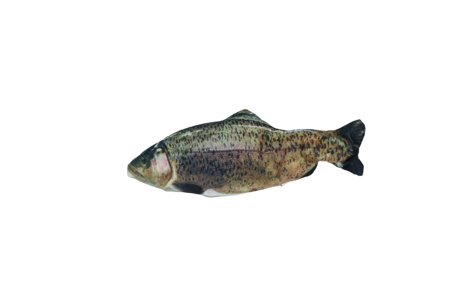 Robocat Fish Forelle