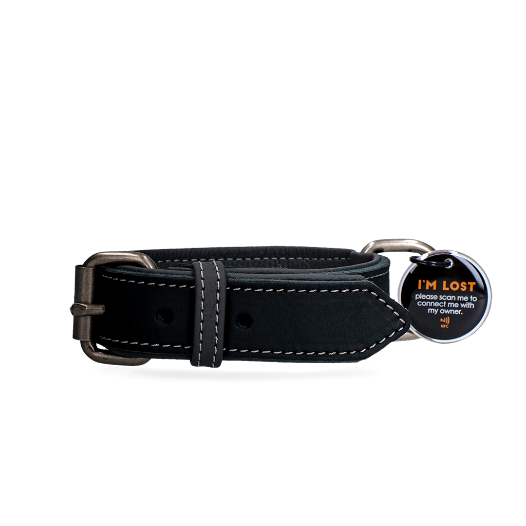 Spotted! Pro Lederhalsband Schwarz 3 x 55 cm