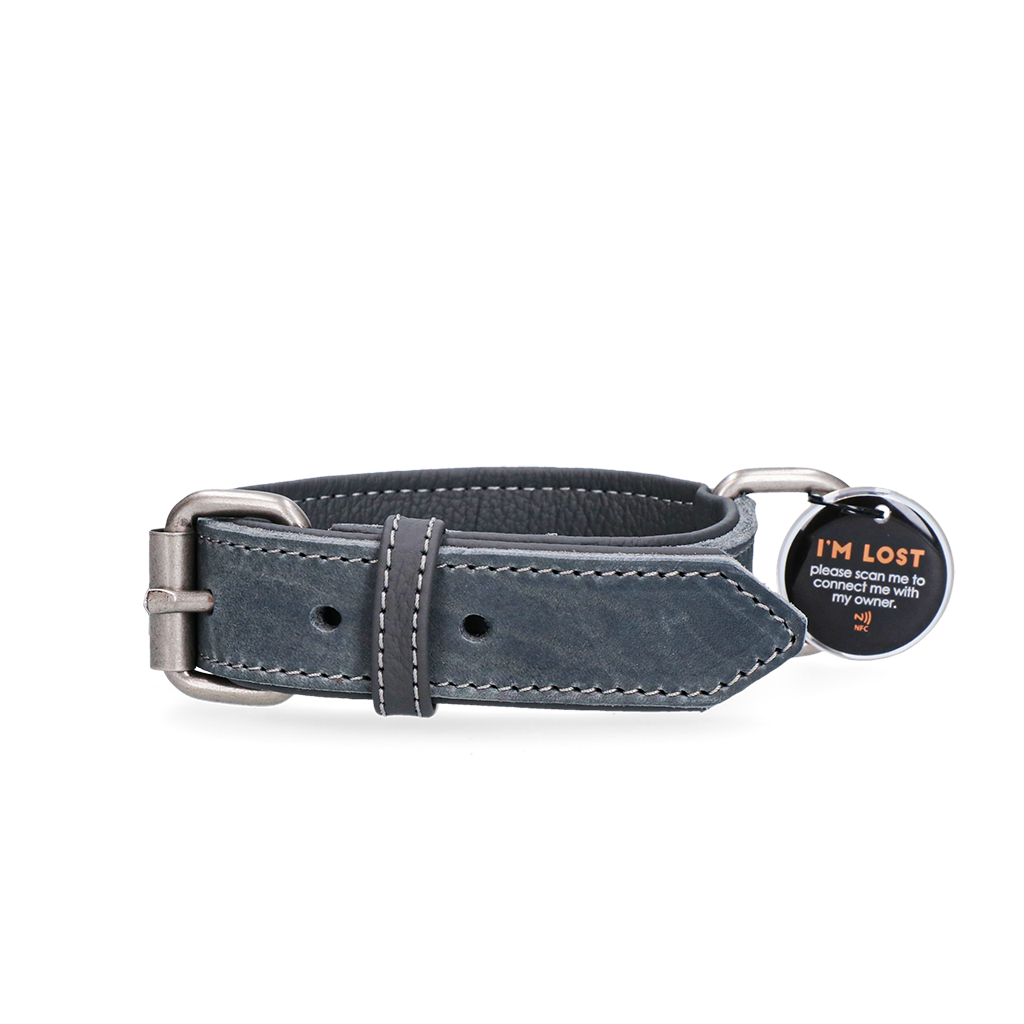 Spotted! Pro Lederhalsband Grau 2,5x40cm