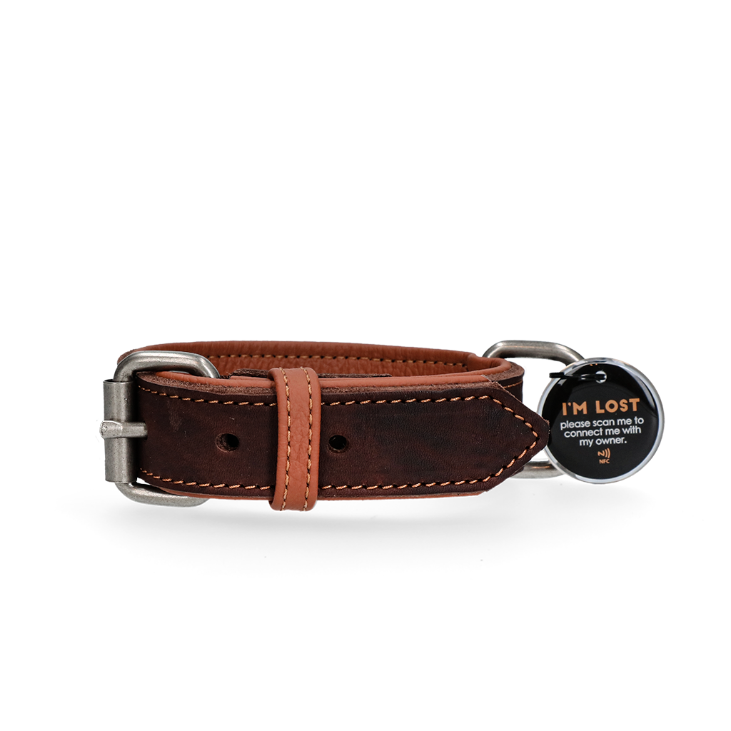 Spotted! Pro Lederhalsband Braun 2,5 x 50 cm