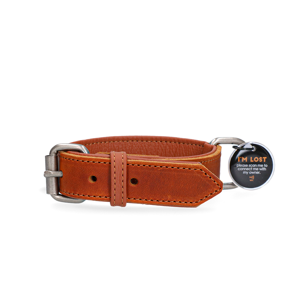 Spotted! Pro Lederhalsband Cognac 3 x 60 cm