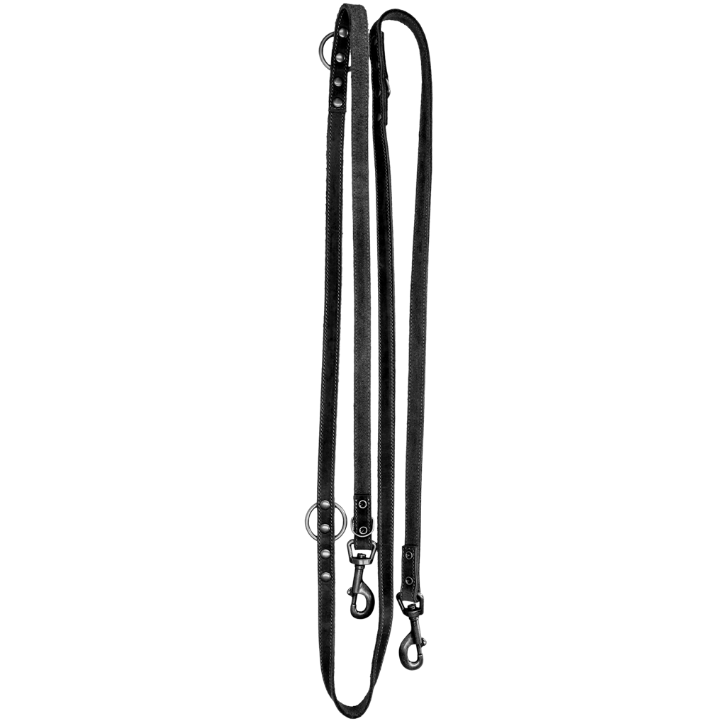 Spotted! Pro Leder Trainingsleine Schwarz 2 x 250 cm