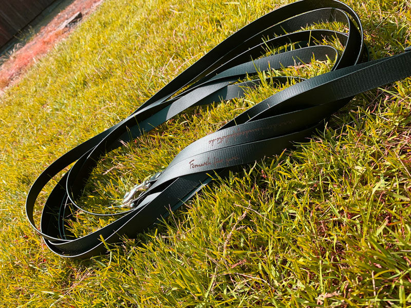 Doppel-Schleppleine FERNWEH aus BioThane®/POP - Band