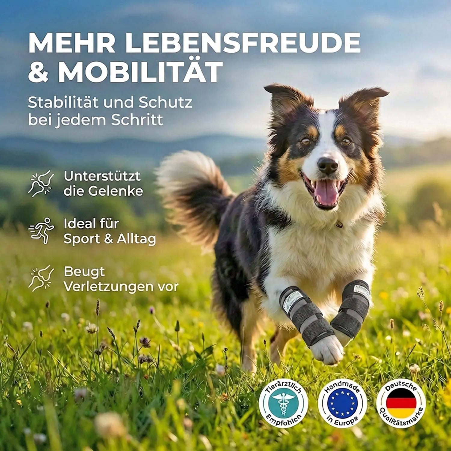 Sportbandage für Hunde