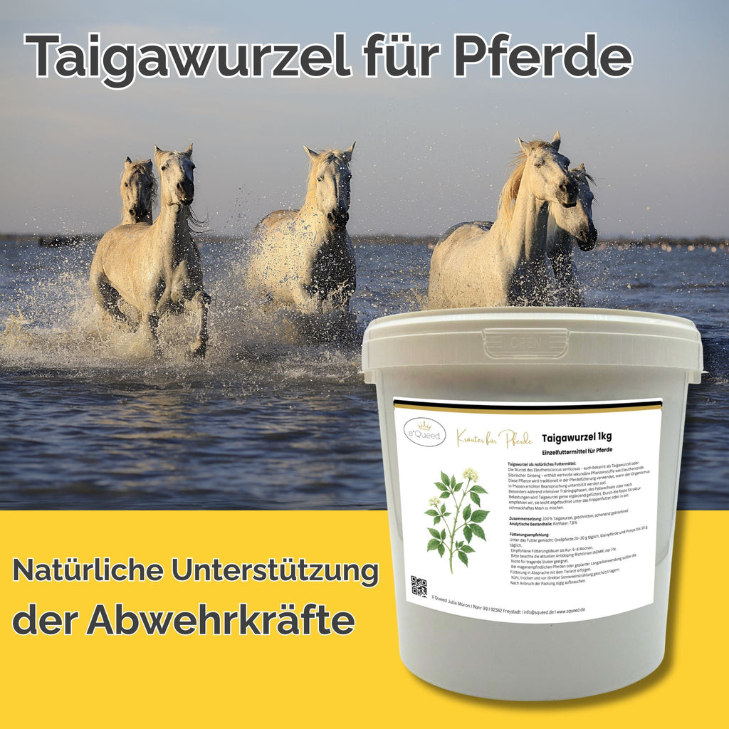 Taigawurzel Pferd 1kg - TierVita