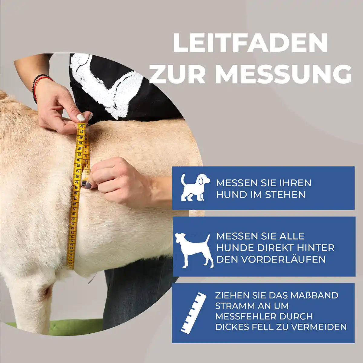 Schulter Abduktion Bandage für Hunde - TierVita