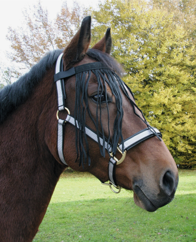 Fliegen-Fransenband Full Pony