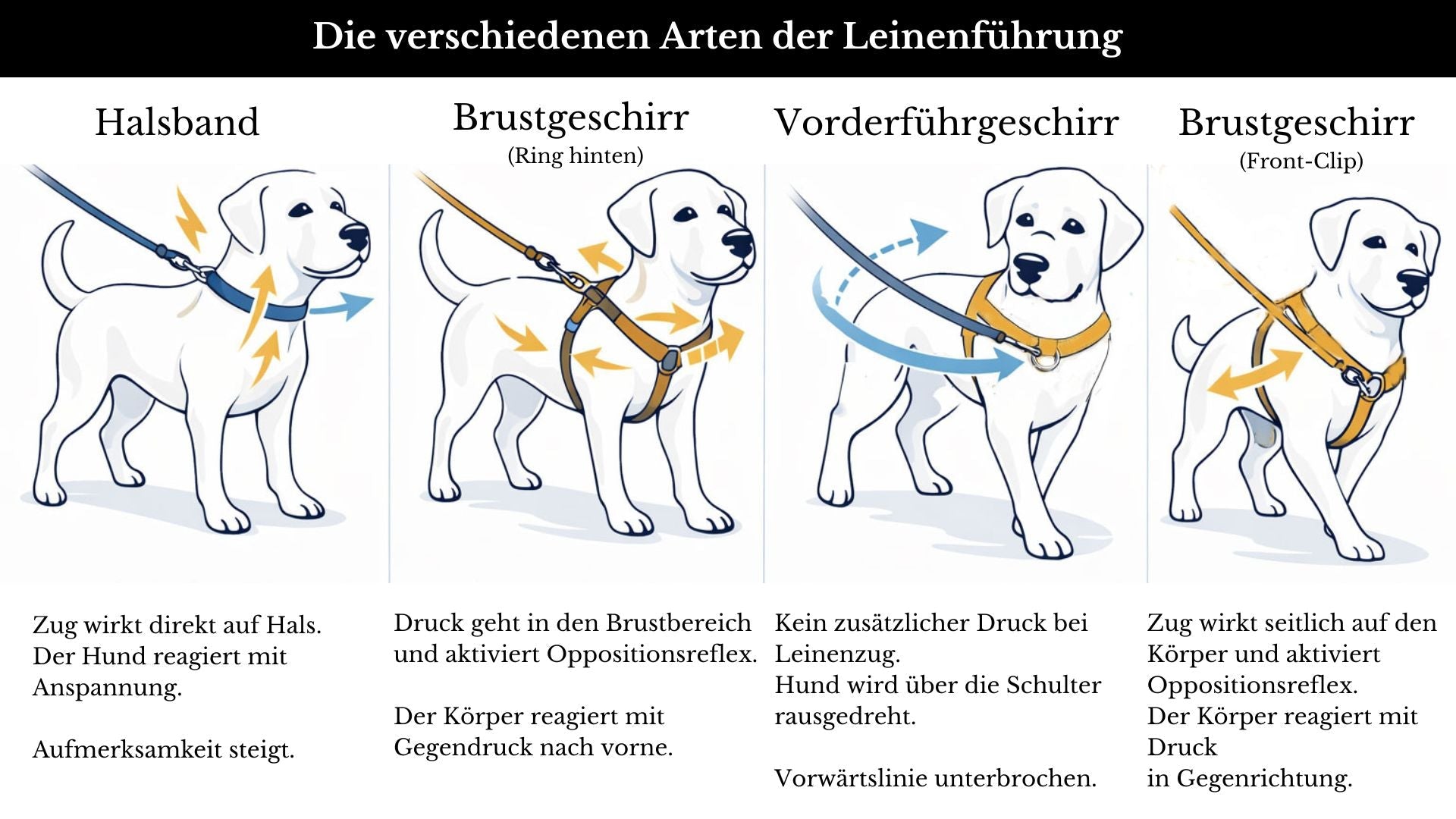 Anti-Stress-Geschirr STURMFREI® Saver für kleine bis mittlere Hunde