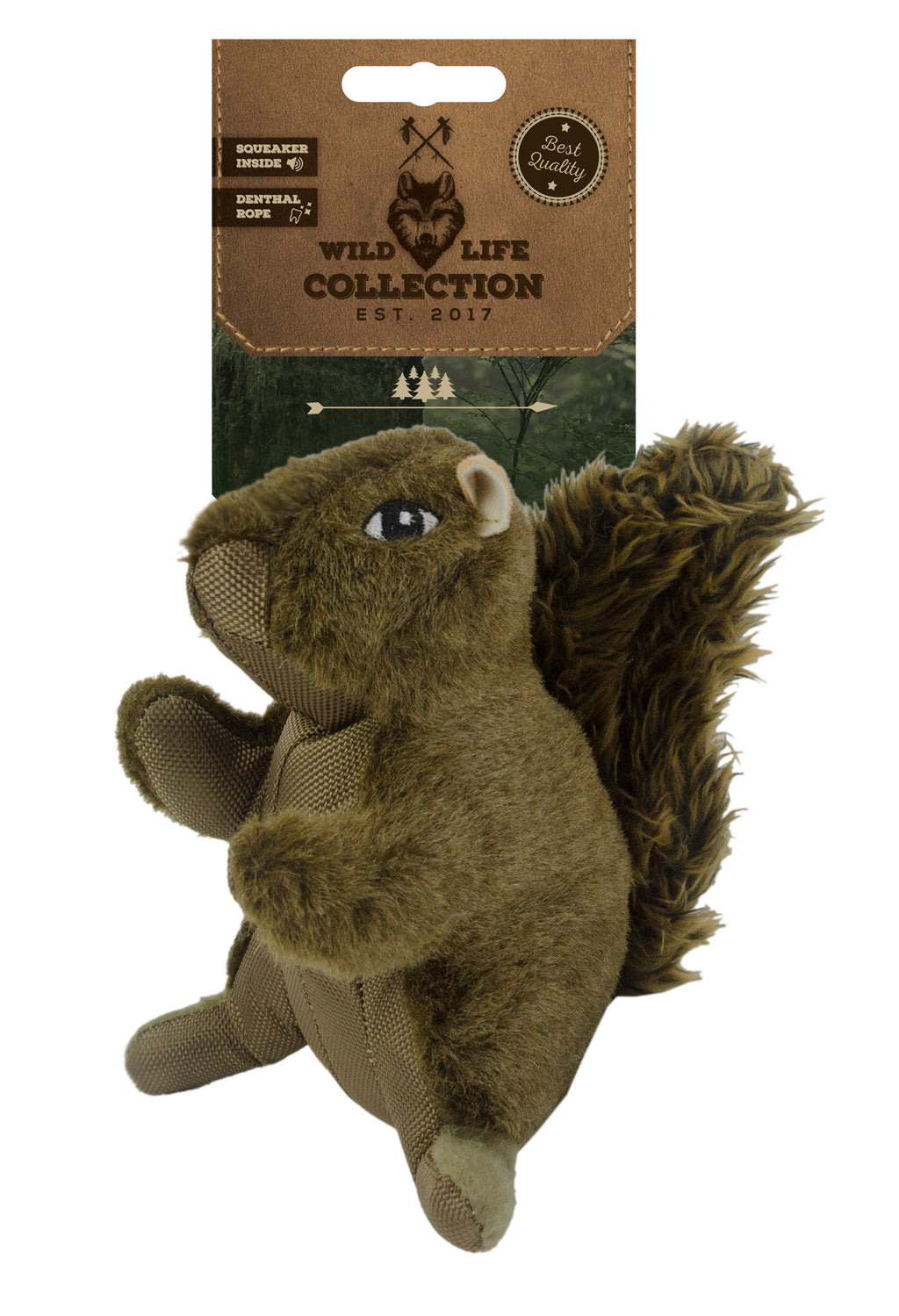 Wild Life Dog Eichhörnchen