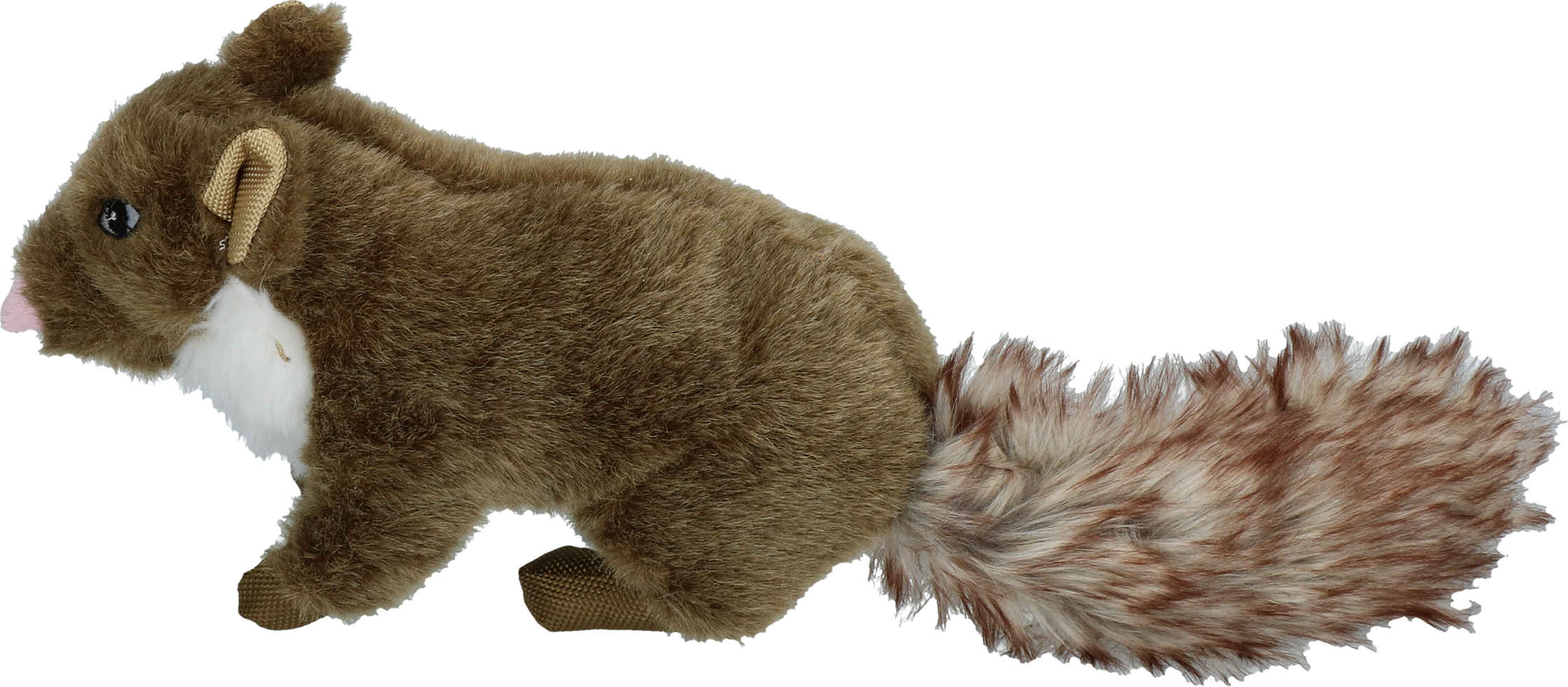 Wild Life Dog Marder