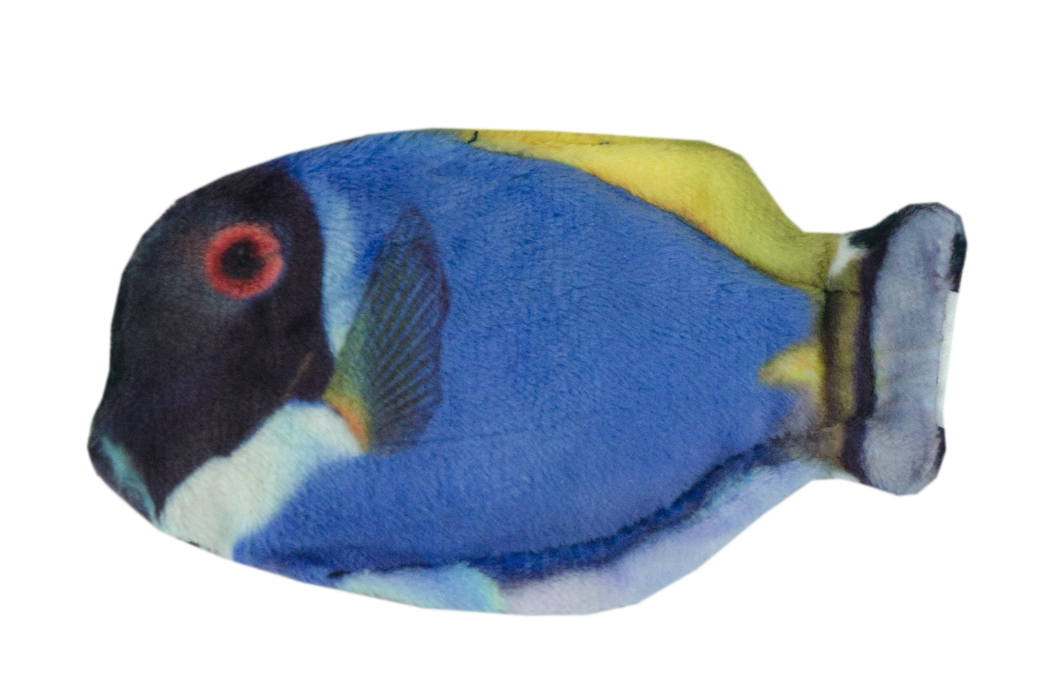 Wild Life Cat Blaue Doktorfisch