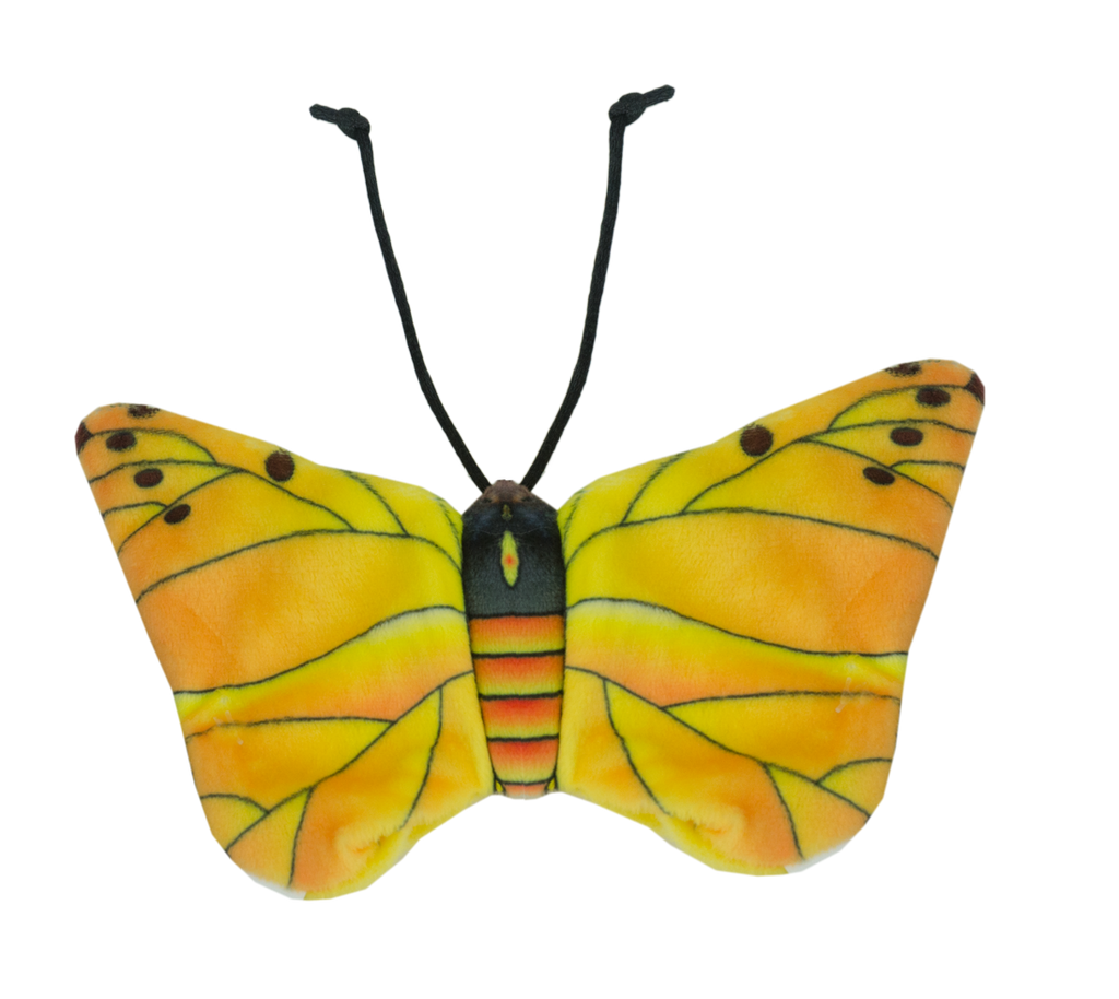 Wild Life Cat Gelber Schmetterling