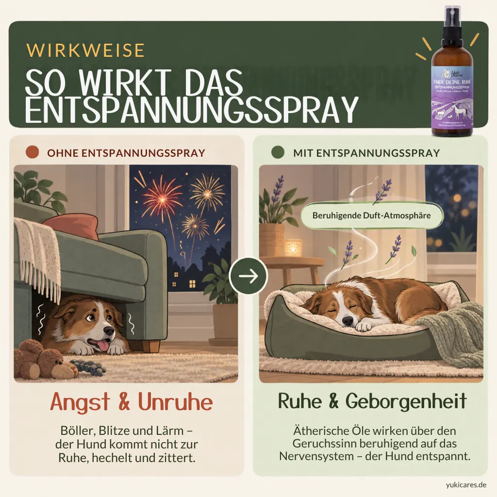 Entspannungsspray Cool down 100ml