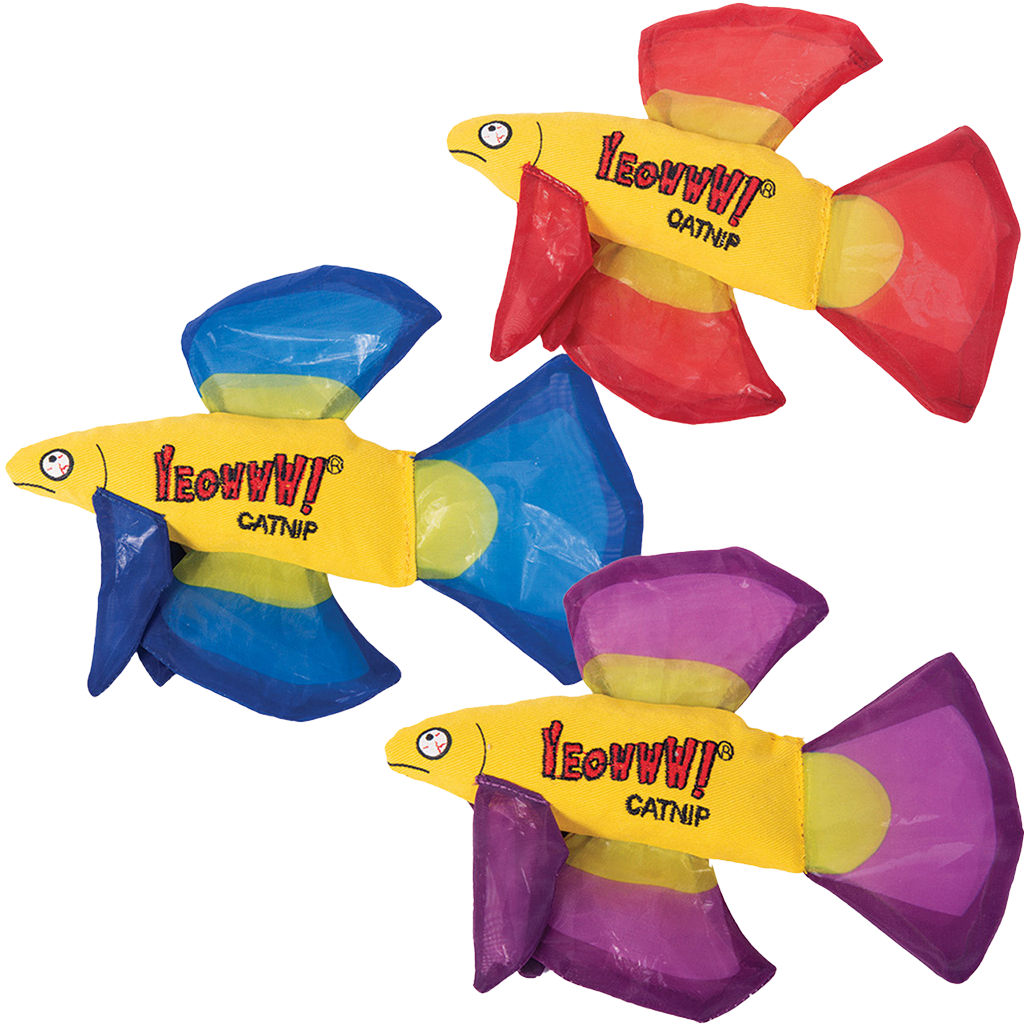 Yeowww! Mo Betta Fish Red