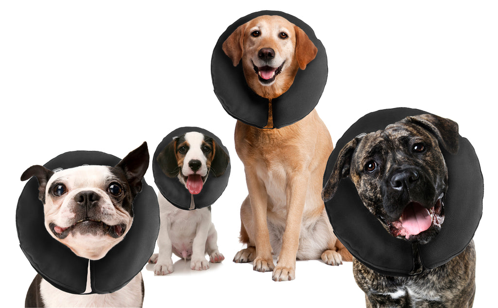 Halskrause ProCollar XXL für Hunde – Zenpet