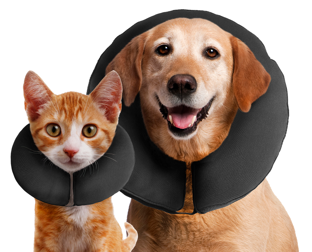 Halskrause ProCollar XL für Hunde – Zenpet