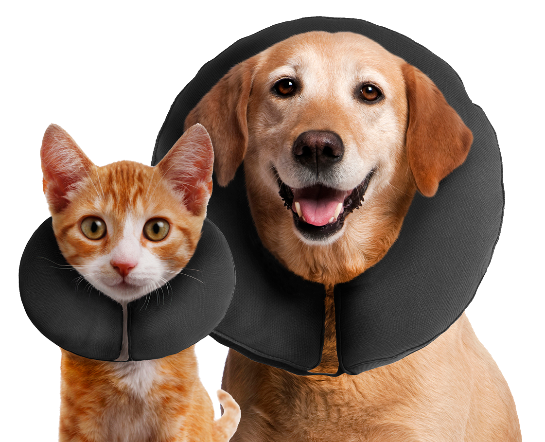 Zenpet ProCollar Halskrause Größe M – Sanfte Genesungshilfe für Hunde