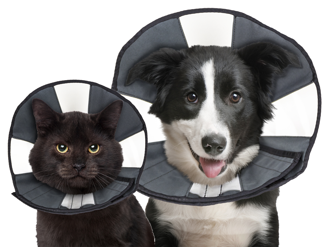 Halskrause ProCone S für Hunde & Katzen – Zenpet
