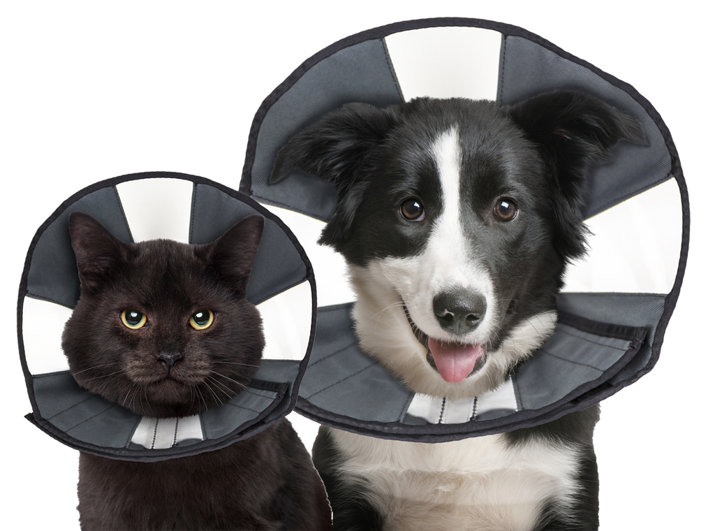 Halskrause ProCone M für Hunde – Zenpet