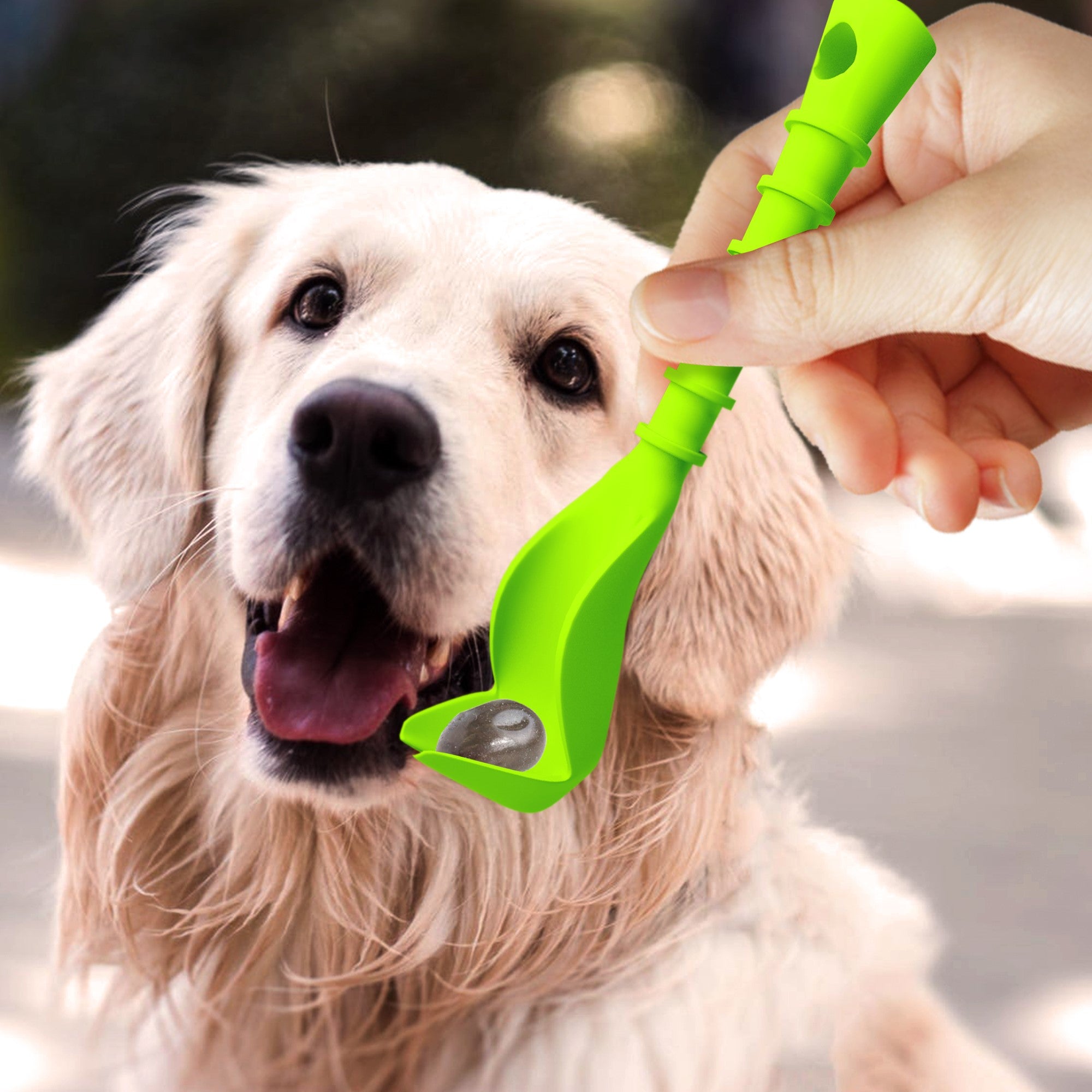 Tick Tornado Zeckenzange 2er Set – Zeckenentferner für Hund, Katze & Mensch
