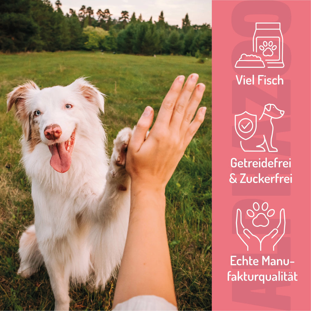 Alles Fisch Auf'm Tisch – Softsnack für Hunde, Seelachs & Forelle, getreidefrei