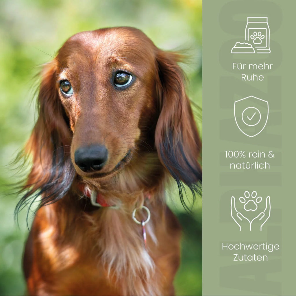 Alpha-Zegg Futteröl für Hunde – Lein, Schwarzkümmel & Mandel kaltgepresst