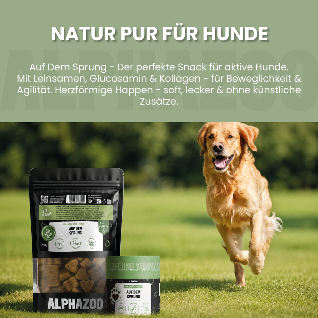 Auf Dem Sprung – Gelenksnack für Hunde mit Glucosamin, Chondroitin & MSM