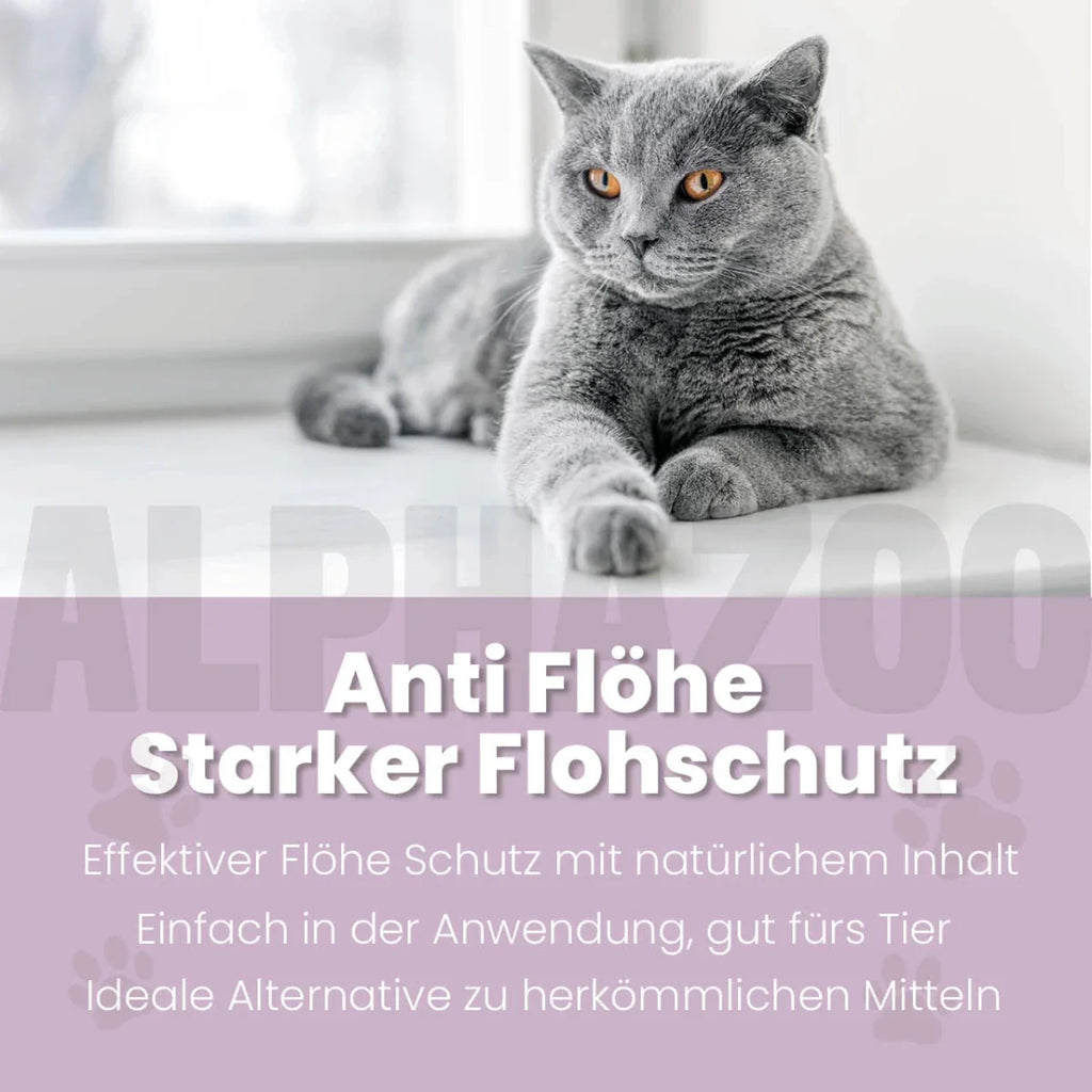 ByeByeVloh Spot-On für Katzen – pflanzlich mit Geraniol & Zitronen-Eukalyptus