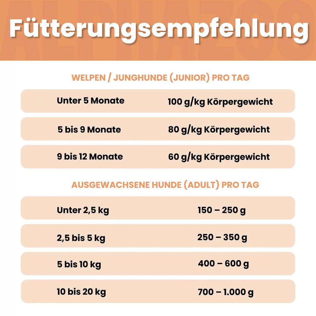 Lachs + Truthahn Nassfutter für Hunde – 60% Fleisch & Fisch, mit Omega-3, Pfirsich & Hanföl