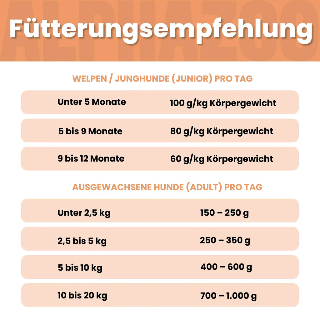 Wild + Rind Nassfutter für Hunde – 60% Fleisch, mit Süßkartoffel, Spinat & Cranberries