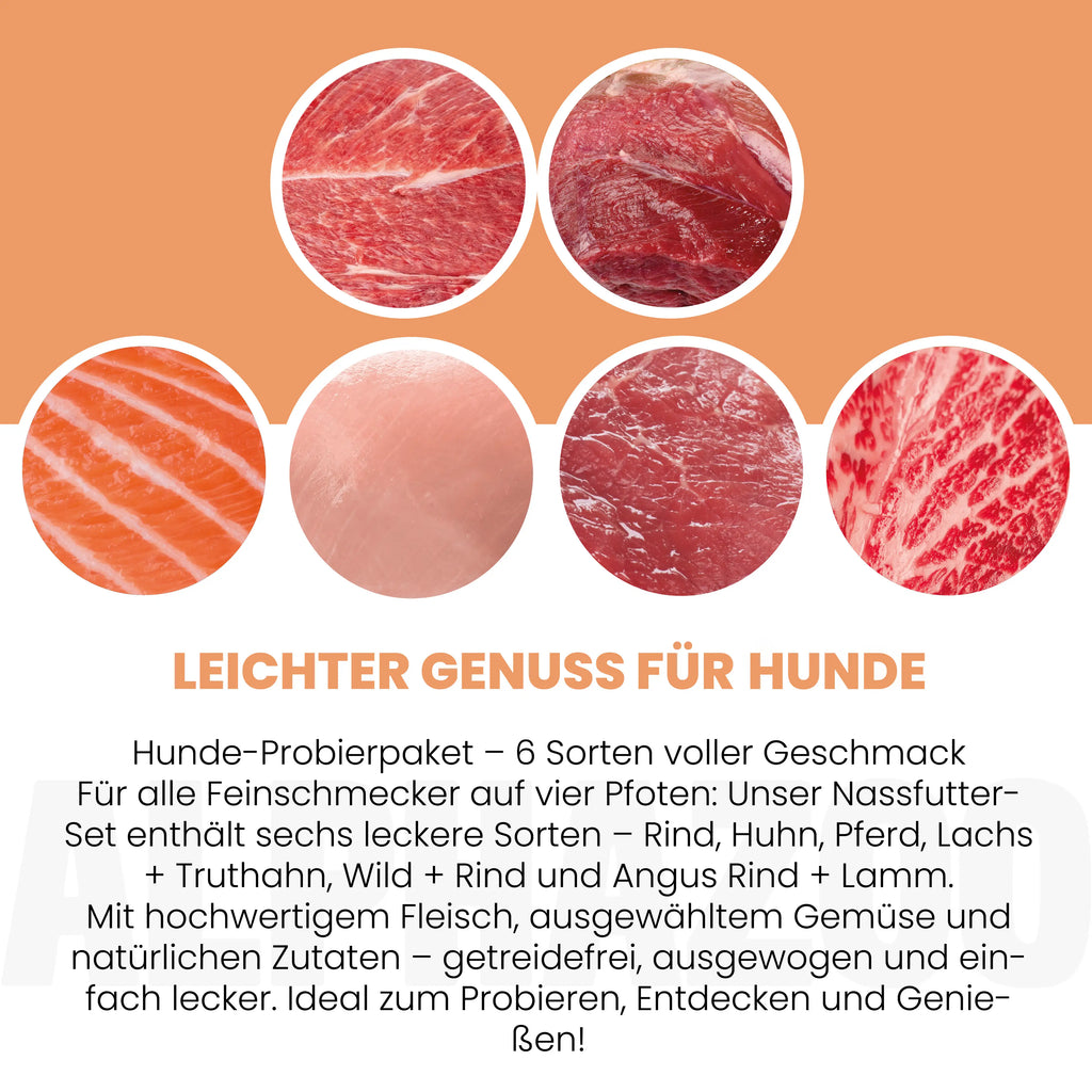 Probierschmaus Hund – 6 Sorten Nassfutter, Mono- & Duoprotein, getreidefrei