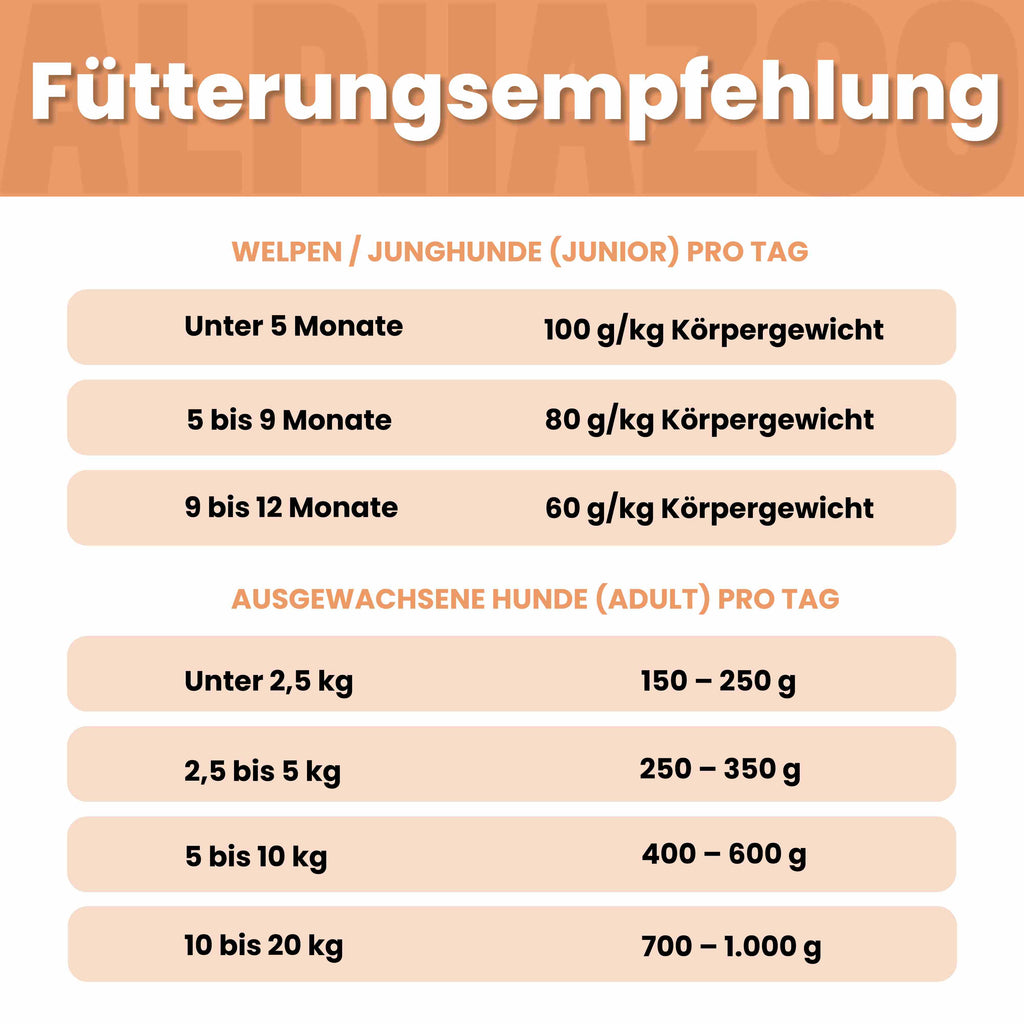 Monoprotein Rind Nassfutter für Hunde – 60% Fleisch, mit Heidelbeere, Hagebutte & Hanföl